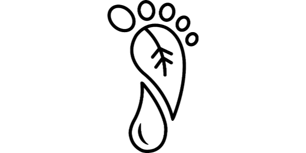 wildsole logo