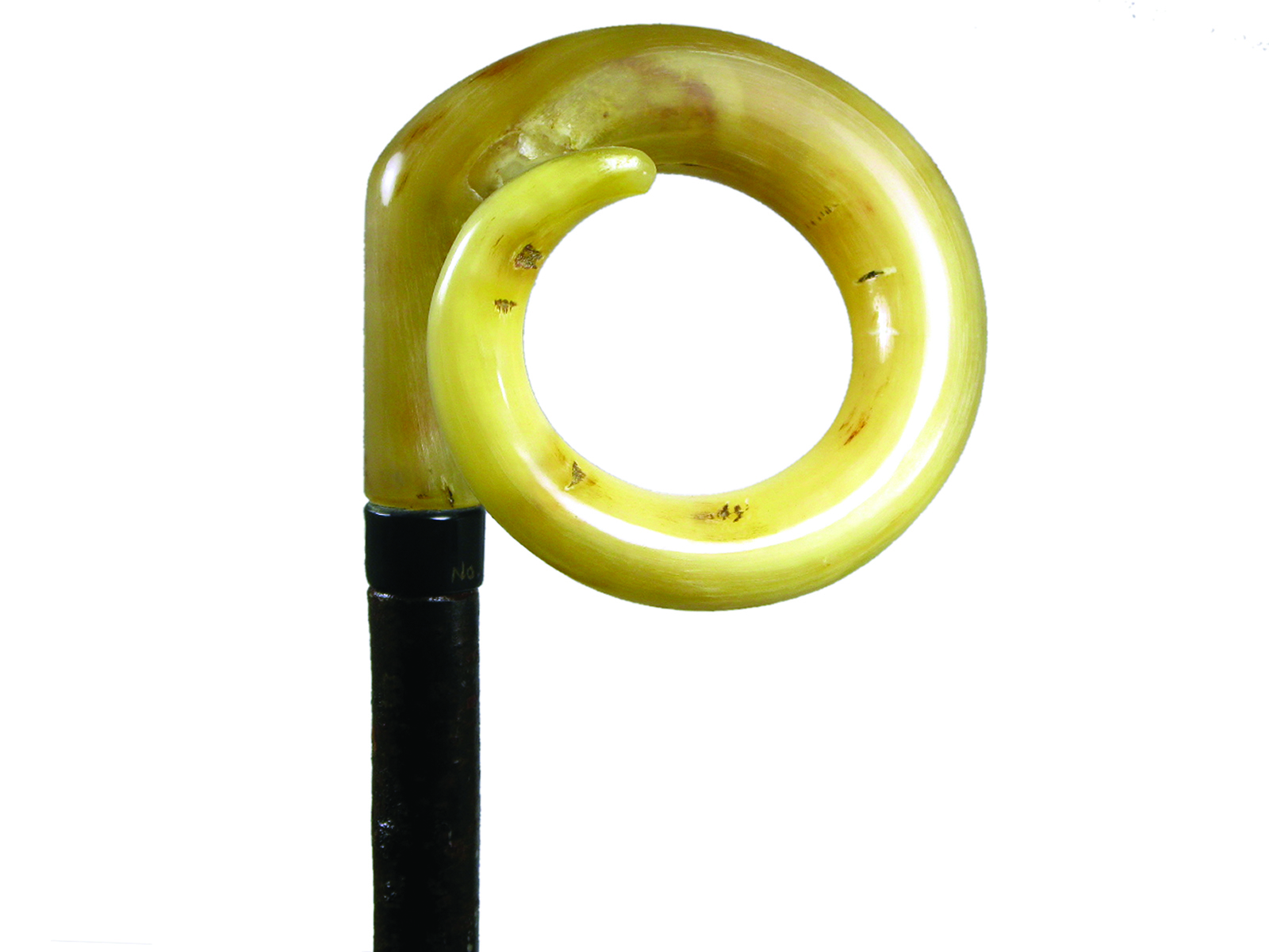 CRS Walking Stick Curly Ramshorn by Abbeyhorn Ltd