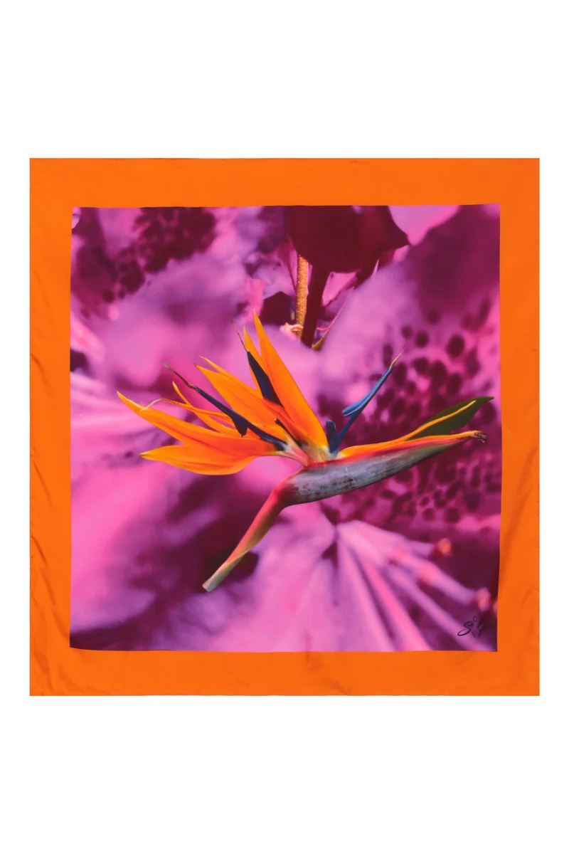 Silk Scarf Unisex – Pink & Purple Bird of Paradise Print by Sylvia Piechulla Ltd